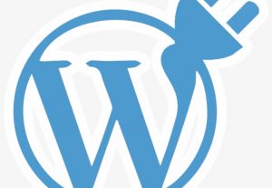 511Create professional WordPress plugins from scratch